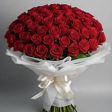 101 Красная роза Блэк Мэджик в Петропавловске-Камчатском Букет 101 Красная роза Блэк Мэджик в Петропавловске-Камчатском