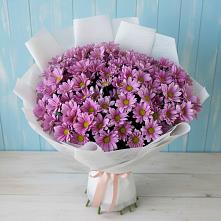 Букет сиреневая охапка в Петропавловске-Камчатском Букет цветов из:  Хризантемы в Петропавловске-Камчатском
