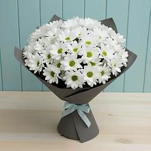 Букет белые хризантемы #REPLACE_PRED# Петропавловске-Камчатском Букет цветов из:  Хризантемы #REPLACE_PRED# Петропавловске-Камчатском
