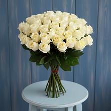 51 Белая роза Эдлесс Лав в Петропавловске-Камчатском Букет 51 Белая роза Эдлесс Лав в Петропавловске-Камчатском