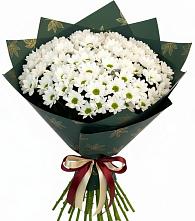 Букет море ромашек в Петропавловске-Камчатском Букет цветов из:  Хризантемы в Петропавловске-Камчатском