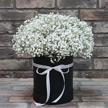 Композиция коробка гипсофил в Петропавловске-Камчатском Цветочная композиция из Гипсофила в шляпной коробке в Петропавловске-Камчатском