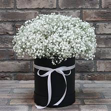 Композиция коробка гипсофил в Петропавловске-Камчатском Цветочная композиция из Гипсофила в шляпной коробке в Петропавловске-Камчатском